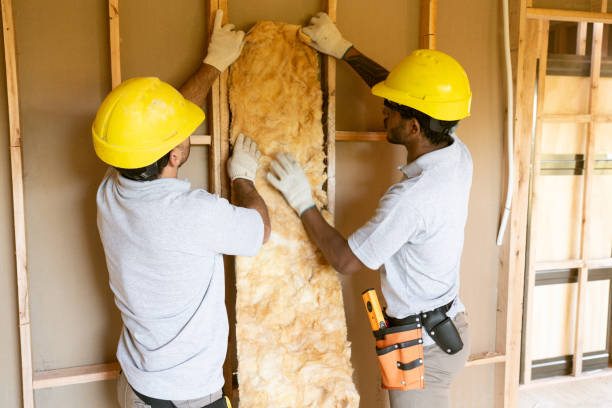 Best Energy-efficient Insulation  in Adamsville, AL